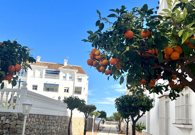 Apartment in Nerja - Ref. 426517